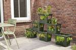 green basics stack & grow large leaf green